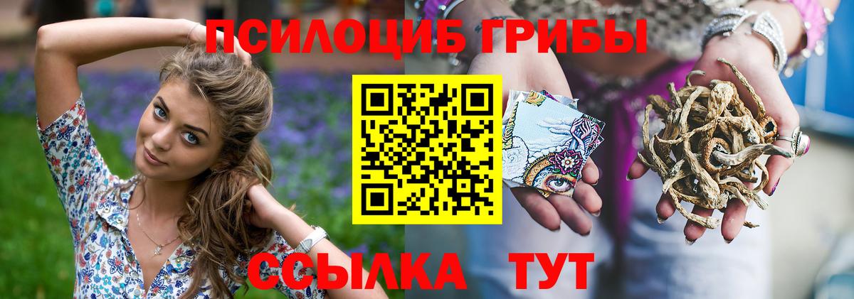 Йошкар-Ола  купить наркоту  Вход с VPN  Галлюциногенные грибы ЛСД 